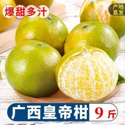 正宗新鲜皇帝柑超好吃皮薄肉厚爆甜多汁果园直发新鲜采摘柑橘桔子