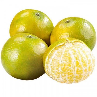 正宗新鲜皇帝柑超好吃皮薄肉厚爆甜多汁果园直发新鲜采摘柑橘桔子图4