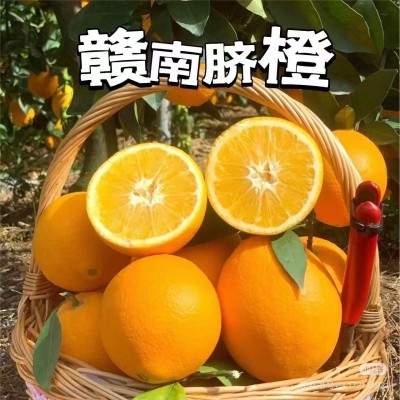 正宗赣南脐橙当季水果新鲜采摘多汁鲜甜好吃农家果园直发整箱包邮图2