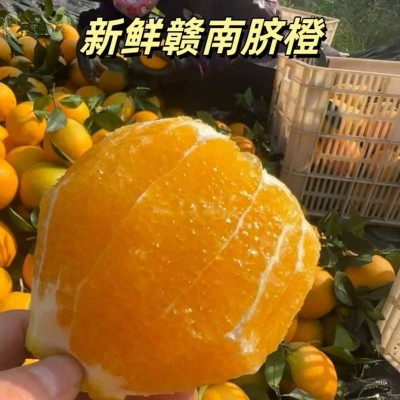 正宗赣南脐橙当季水果新鲜采摘多汁鲜甜好吃农家果园直发整箱包邮图4