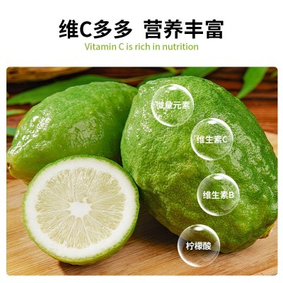 柠檬新鲜现摘无籽奶茶店香水柠檬专一级当季精选酸香多汁 新鲜水果图4
