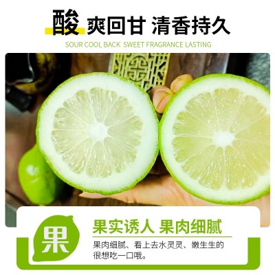 广东香水柠檬新鲜野生饮品店专用香水柠檬专1级柠檬支持一 件代发图2