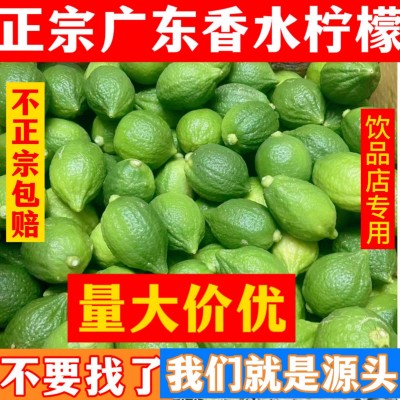 广东香水柠檬新鲜野生青柠檬无籽大果特级果应当季水果奶 茶店专用图2