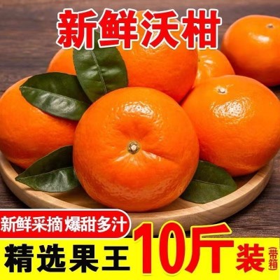 正宗广西武鸣沃柑水果纯甜多汁果园现摘现发应季橘子皮薄新鲜水果图2