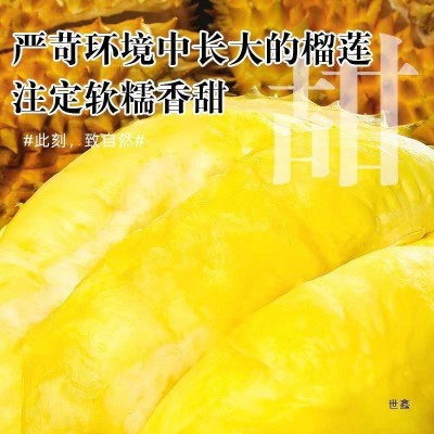 正宗泰国树上熟金枕榴莲带壳熟新鲜香甜软糯一整个孕妇水 果整箱发图5