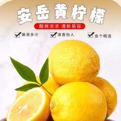 安岳黄柠檬批发新鲜采摘当季水果优选皮薄鲜柠檬现货奶茶店用柠檬图2