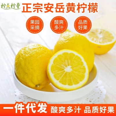 四川安岳柠檬新鲜应季水果黄柠檬精选皮薄多汁一级香鲜意一件代发图2