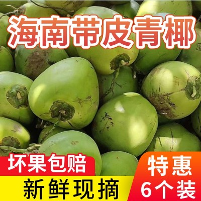 带皮文昌海南椰子新鲜椰青整箱现摘当季饮料纯天然椰汁一件代发图4