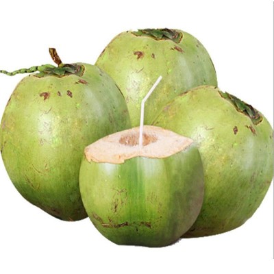 带皮文昌海南椰子新鲜椰青10个一袋椰子鸡饭店专用椰汁一件代发图4