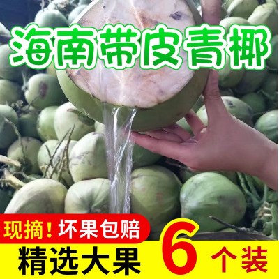 带皮文昌海南椰子新鲜椰青整箱现摘当季饮料纯天然椰汁一件代发图5