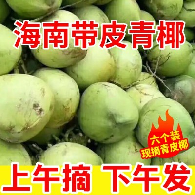 带皮文昌海南椰子新鲜椰青整箱现摘当季饮料纯天然椰汁一件代发图3