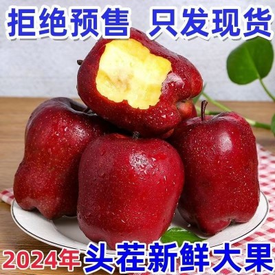 花牛苹果甘肃天水新鲜水果当季整箱10斤婴儿糖心粉面沙甜红蛇平果图3