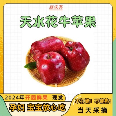 花牛苹果甘肃天水新鲜水果当季整箱10斤婴儿糖心粉面沙甜红蛇平果图2