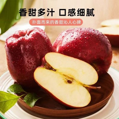 花牛苹果甘肃天水新鲜水果当季整箱10斤婴儿糖心粉面沙甜红蛇平果图5