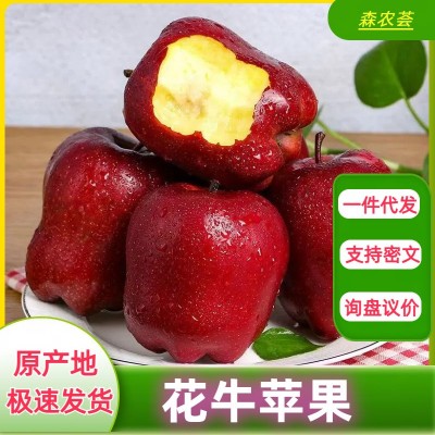 蛇果甘肃天水花牛新鲜当季水果红整箱粉面平果3、5、10斤包邮代发图2