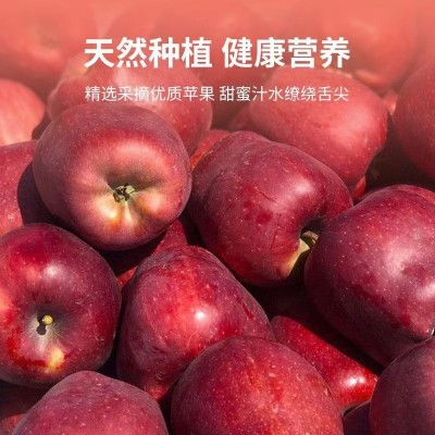 【爆甜】甘肃天水花牛苹果当季整箱应黑卡蛇果孕妇冰糖心新鲜水果图3