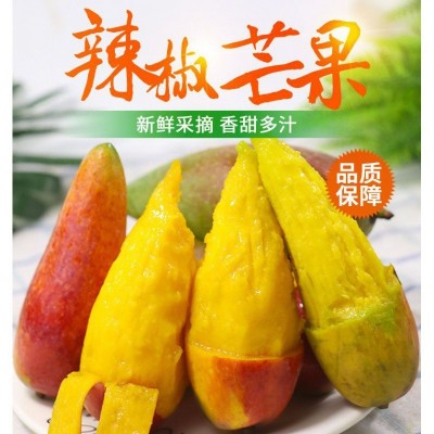 辣椒芒海南新鲜5斤当季现摘热带芒果孕妇水果网红牙签小芒果1斤图3