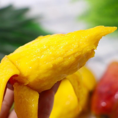 辣椒芒海南新鲜5斤当季现摘热带芒果孕妇水果网红牙签小芒果1斤图5