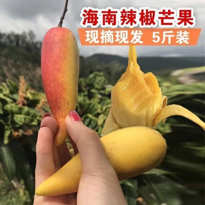 辣椒芒海南新鲜5斤当季现摘热带芒果孕妇水果网红牙签小芒果1斤图2