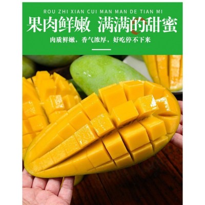大芒果大青生吃甜脆甜新鲜水果整箱批发价非海南金煌芒跨境独立站图5