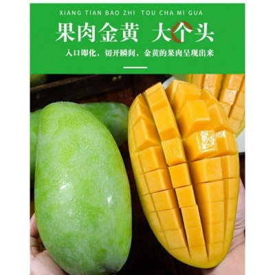 大芒果大青生吃甜脆甜新鲜水果整箱批发价非海南金煌芒跨境独立站图4
