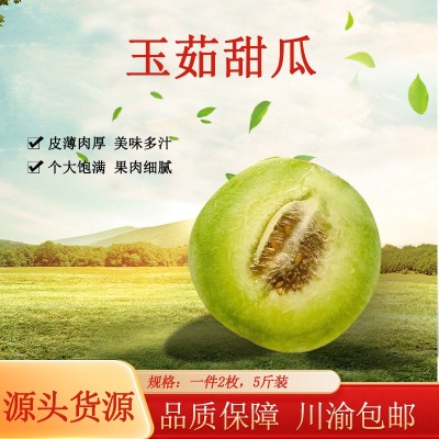 玉茹甜瓜哈密瓜整件2枚5斤礼盒现货整箱批发图2