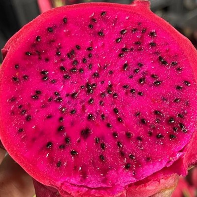 广西红心火龙果新鲜当季应季水果整箱整件批发图2