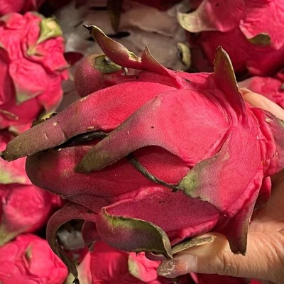 广西红心火龙果新鲜当季应季水果整箱整件批发图3