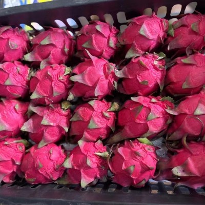 广西红心火龙果新鲜当季应季水果整箱整件批发图4