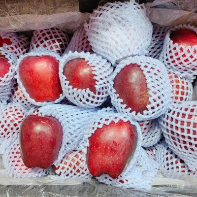 果园采摘产地直供甘肃蛇果花牛果苹果宝宝辅食整箱批发图3