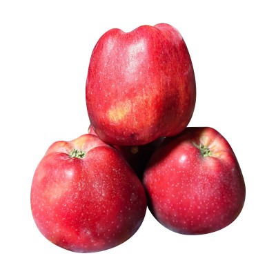 果园采摘产地直供甘肃蛇果花牛果苹果宝宝辅食整箱批发图5