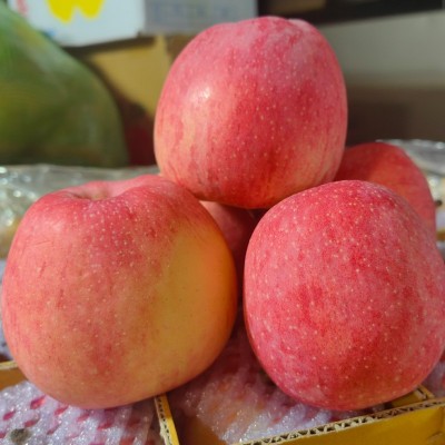 果园采摘产地直供甘肃静宁红富士苹果水果5-10斤10-12枚现货批发图3