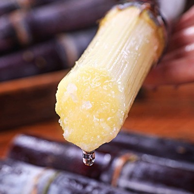 黑皮甘蔗 一件代发 紫皮甘蔗当季新鲜水果一级甘蔗特产脆皮甜榨汁图4