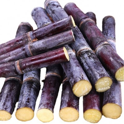 黑皮甘蔗 一件代发 紫皮甘蔗当季新鲜水果一级甘蔗特产脆皮甜榨汁图5