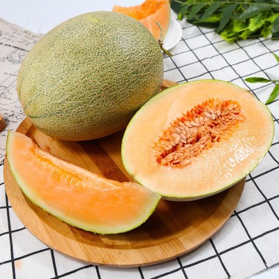 哈密瓜一件代发甜瓜当季水果新鲜西州蜜瓜晓25号非新疆玫珑网纹瓜图5