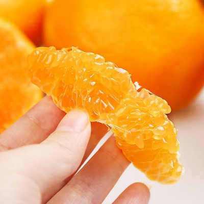 春见耙耙柑 一件代发 四川粑粑柑新鲜水果当季丑八怪橘子整箱包邮图5