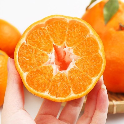 春见耙耙柑 一件代发 四川粑粑柑新鲜水果当季丑八怪橘子整箱包邮图3