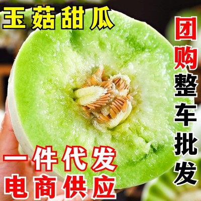 玉菇甜瓜新鲜水果 一件代发 当季正宗头茬冰淇淋蜜瓜香瓜整箱密瓜图2
