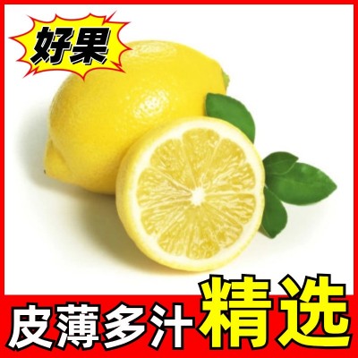 商用安岳黄柠檬现摘现发柠檬5斤新鲜水果皮薄多汁包邮奶茶店饮品图2