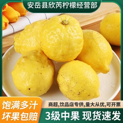 新鲜正宗安岳产地柠檬中果皮薄多汁现摘现发三级瑕疵果黄柠檬批发图2