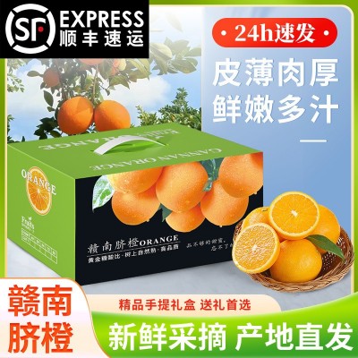 【顺丰包邮】正宗赣南脐橙 5斤10斤农选好果精美礼盒送礼 佳品批发图2