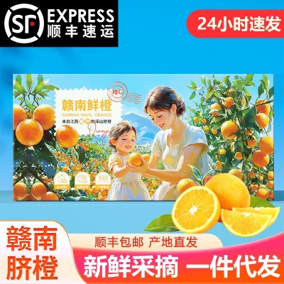 【顺丰包邮】赣南脐橙江西10斤橙子产地直发新鲜水果现摘 手剥批发图2