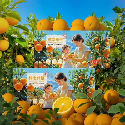 【顺丰包邮】赣南脐橙江西10斤橙子产地直发新鲜水果现摘 手剥批发图5