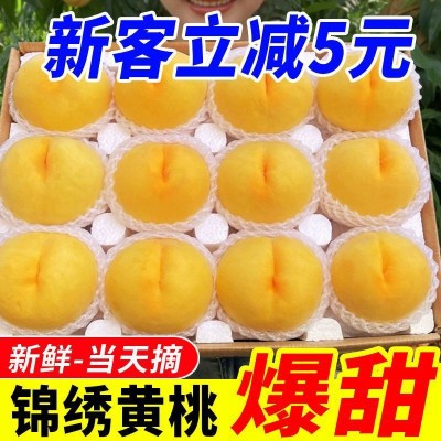 黄桃锦绣酸甜大黄桃新鲜水果桃子水蜜桃脆甜毛桃一整箱批发价批发图4