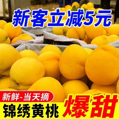 黄桃锦绣酸甜大黄桃新鲜水果桃子水蜜桃脆甜毛桃一整箱批发价批发图2
