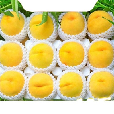 黄桃锦绣酸甜大黄桃新鲜水果桃子水蜜桃脆甜毛桃一整箱批发价批发图5
