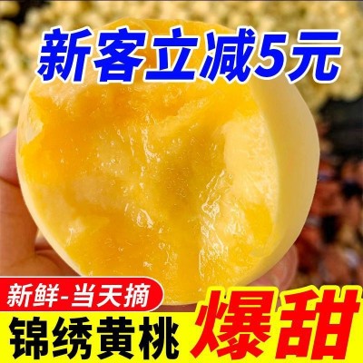 黄桃锦绣酸甜大黄桃新鲜水果桃子水蜜桃脆甜毛桃一整箱批发价批发图3
