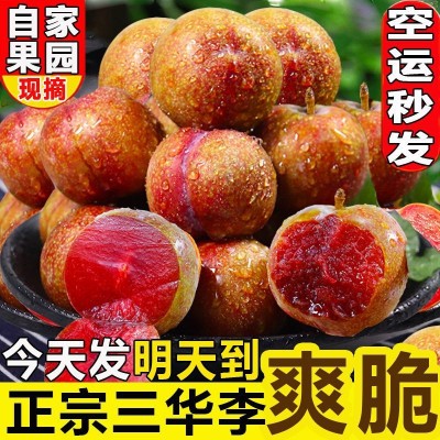 三华李酸甜爽脆红心李子当季新鲜水果整箱批发独立站速卖通图4