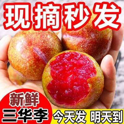 三华李酸甜爽脆红心李子当季新鲜水果整箱批发独立站速卖通图2