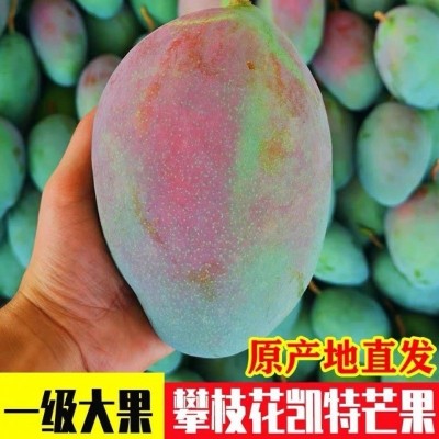 凯特芒果新鲜水果特大大皮薄肉厚3斤非四川攀枝花贵妃工厂批发图2